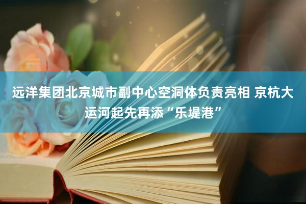 远洋集团北京城市副中心空洞体负责亮相 京杭大运河起先再添“乐堤港”