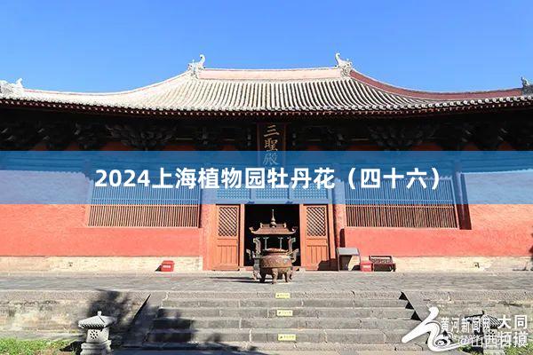 2024上海植物园牡丹花（四十六）